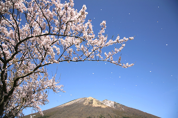 大山桝水高原（ますみずこうげん）