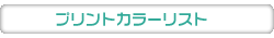 �v�����g�J���[���X�g