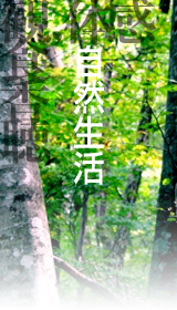 �V�����