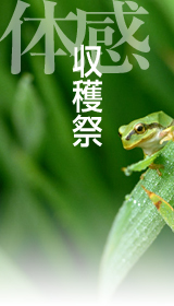 �r�I�g�[�v����