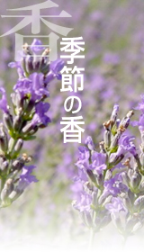 �y���z�G�߂̍��[���R����